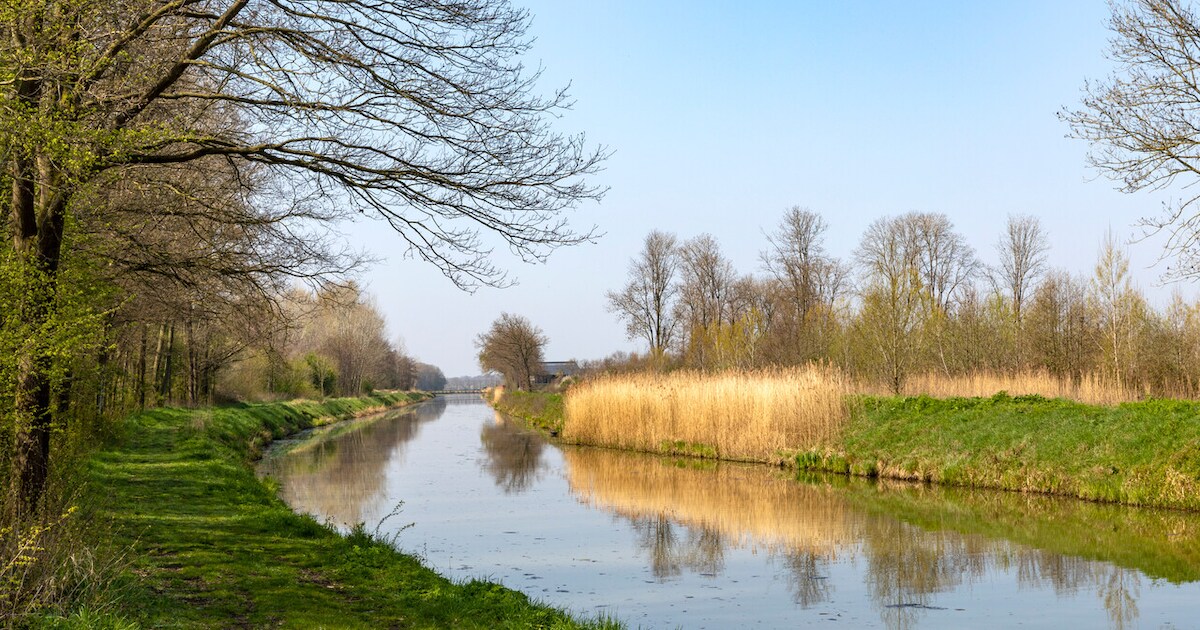 Voorjaarswandeling door landschap in Bergharen