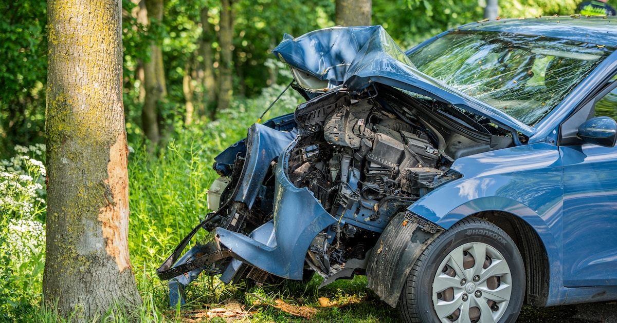 Auto botst tegen boom op Spijksedijk, automobilist gewond naar ziekenhuis