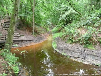 Zwerftocht langs beek en stuifduinen in Veluwezoom
