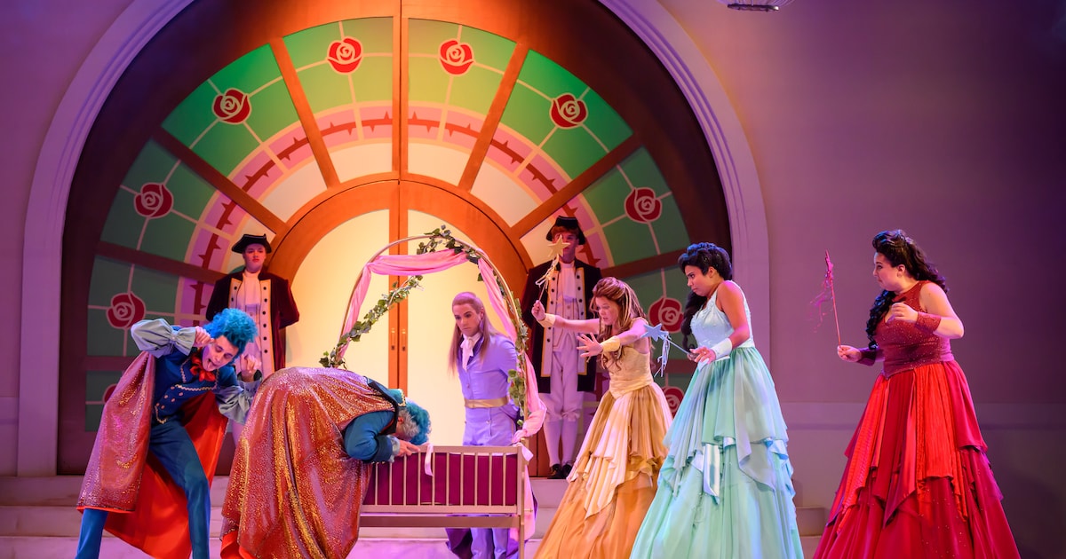 'Doornroosje De Musical' komt naar Schouwburg Cuijk en is twee keer te zien