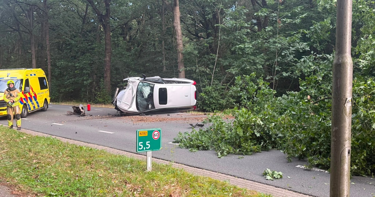 Auto botst hard tegen boom, bestuurder (23) gewond en boom breekt af
