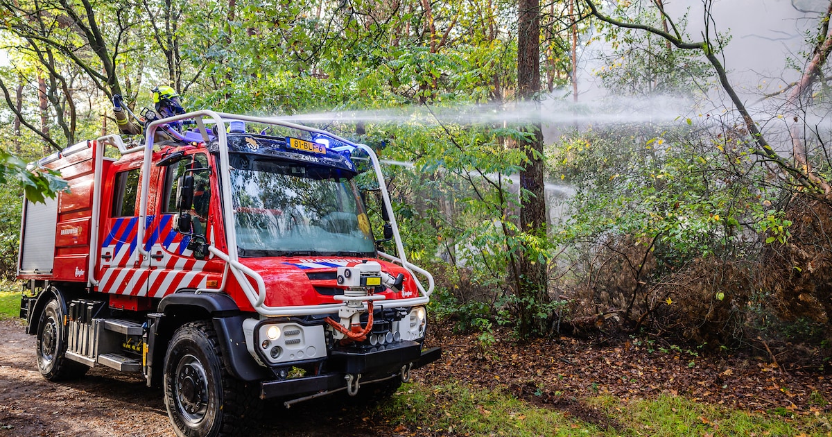 Meerdere brandweerkorpsen doen mee aan grootschalige bosbrandoefening in Austerlitz