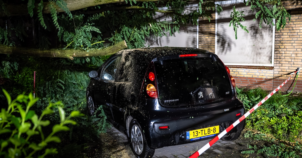 Nog de hele week takken op de weg; gemeenten druk met opruimen