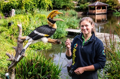 Roze kaketoe en zelfs een pinguïn: Avifauna-verzorger Selena vertelt waarom vogels steeds ‘ontsnappen’