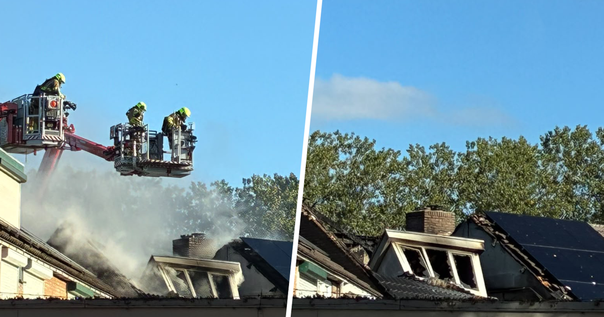 TERUGLEZEN Brand Doesburg | Bewoner omgekomen bij brand • Drie huizen onbewoonbaar • ‘Ramp voor Does