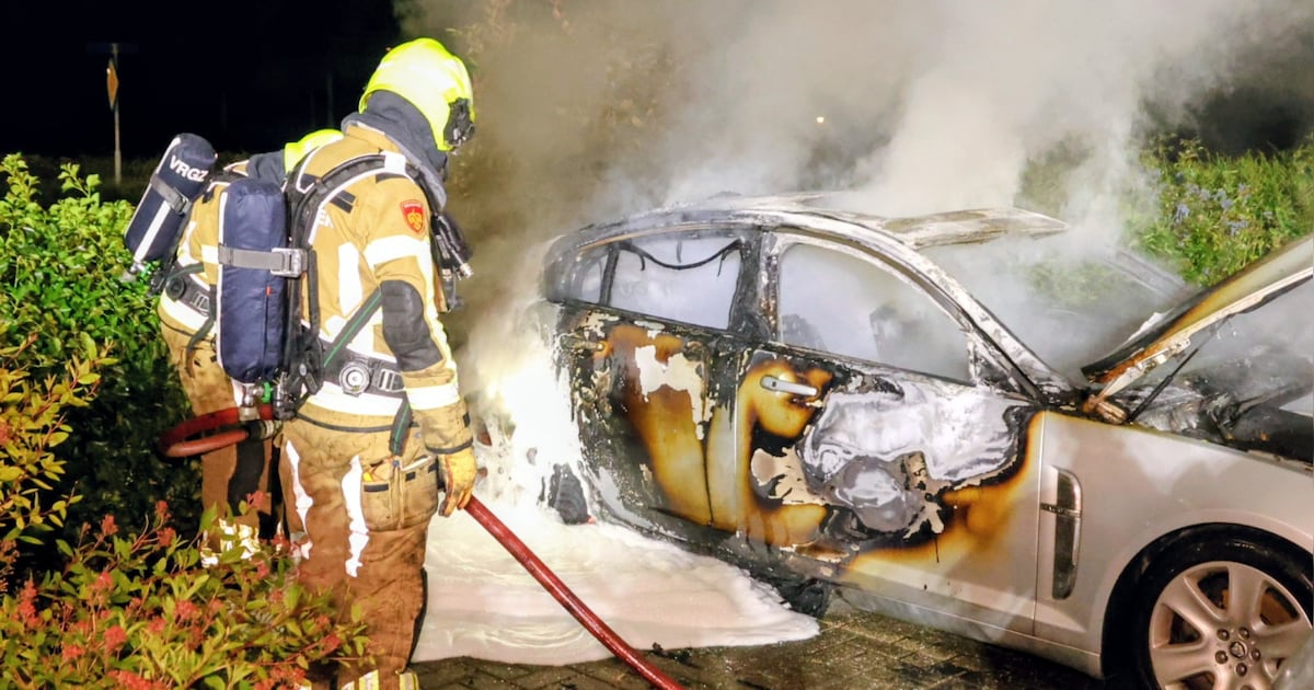 Geparkeerde auto volledig uitgebrand in Lienden