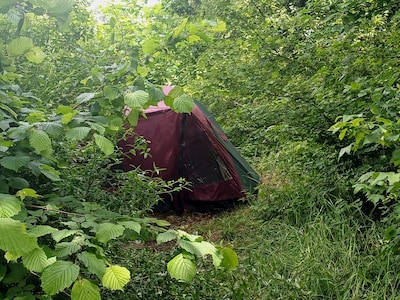 Buurtbewoners horen al langer geroezemoes in bosjes naast speeltuin, maar uitwerpselen zijn nu de dr