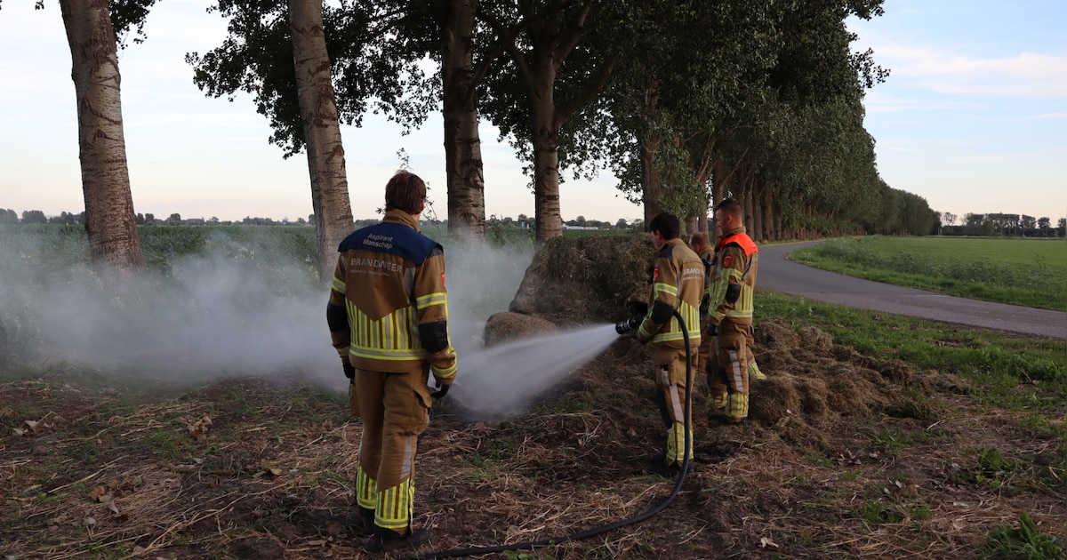 Berg met vers gemaaid gras vat vlam in buitengebied Sprang-Capelle ...