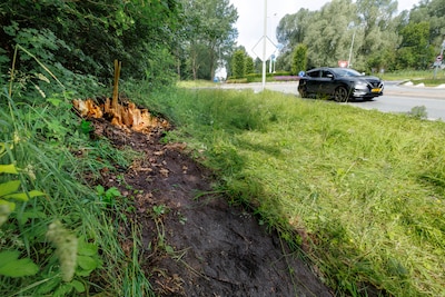 Deskundigen keihard na ongeval met boom waarbij ondernemer (