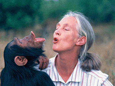 Jane Goodall overleden aan hartstilstand