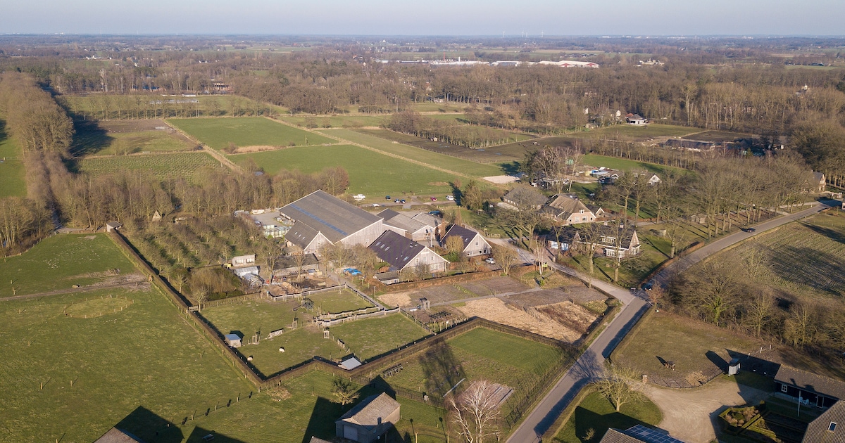 Loenen opent erf De Groote Modderkolk voor natuur en zorg