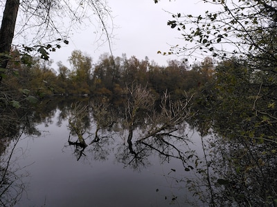IVN West-Betuwe houdt winterwandeling in Buren