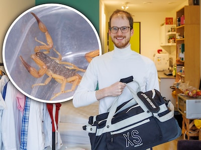 Schrikken: giftige schorpioen kruipt uit reistas van student Bram