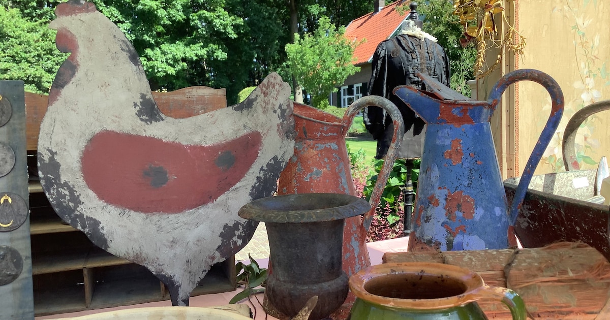 Tour de Brocante bij pluktuin in Wolfheze