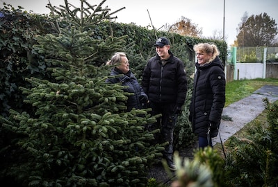 Nu al een kerstboom kopen? We krijgen toch eerst nog Sinterklaas?