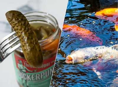 De meest bijzondere kersttradities in het buitenland: wat doet dat poepende mannetje in Spanje?