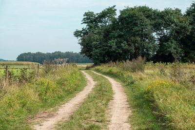 IVN houdt Klein Beekermarkwandeling in Loerbeek