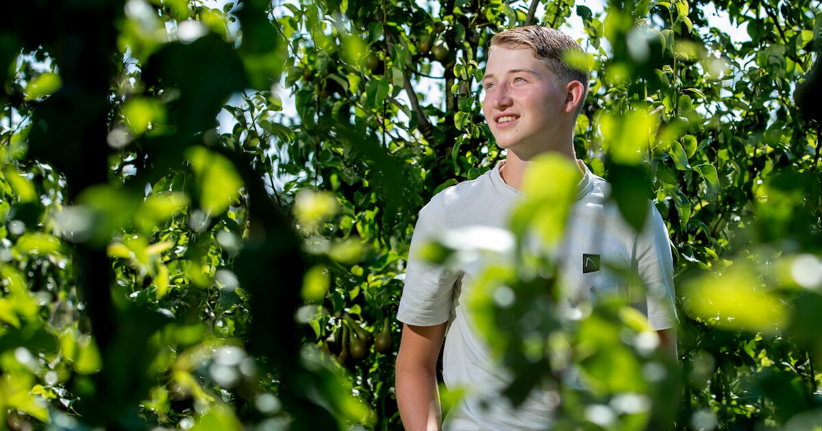 Luuk (19) bedacht iets slims voor Nederlandse fruittelers