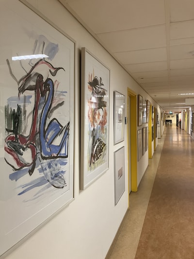 Kunstwerken in het Slingeland ziekenhuis gaan in de verkoop; ‘Niet alles kan mee naar de nieuwbouw’