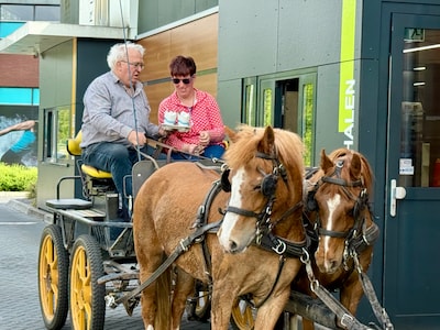 McFlurry’s voor pony’s in Winterswijk en kooruitje Zehlems Mannenkoor