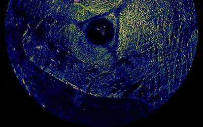 Hoe unieke vondst in de IJssel experts en liefhebbers al 15 jaar in z’n greep houdt: ‘Dit is echt een pittige klus’