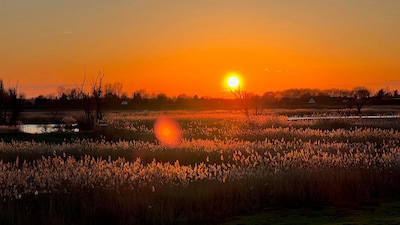 Zomeravondwandelingen op Het Gelders Eiland
