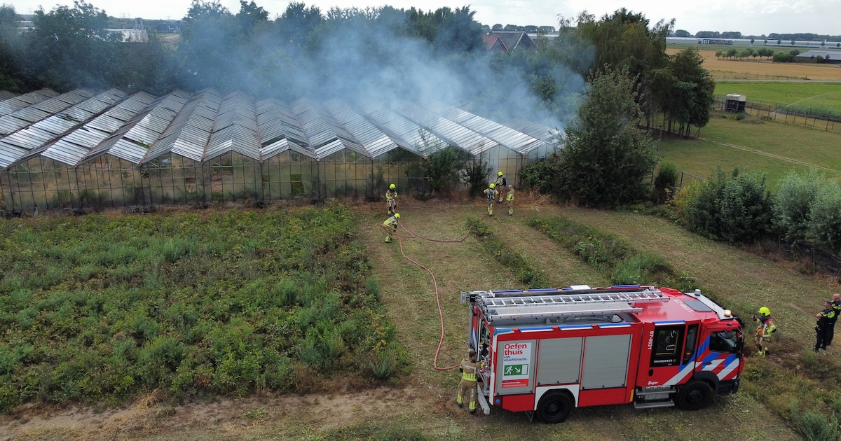 Planten vatten vlam in verlaten kassen in Huissen, brandweer weet erger te voorkomen: ‘Gelukkig’