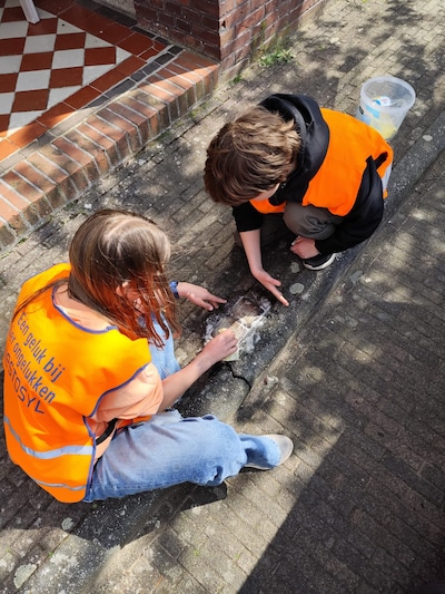 Leerlingen poetsen Stolpersteine in Borculo en Geesteren