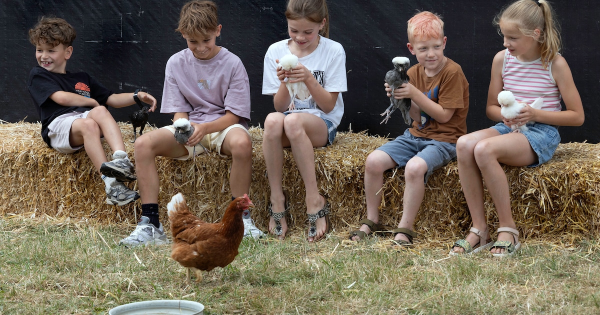 Samen genieten op Hootchie Koe: kinderen, ouders en opa’s en oma’s maken het festival in Varsseveld 